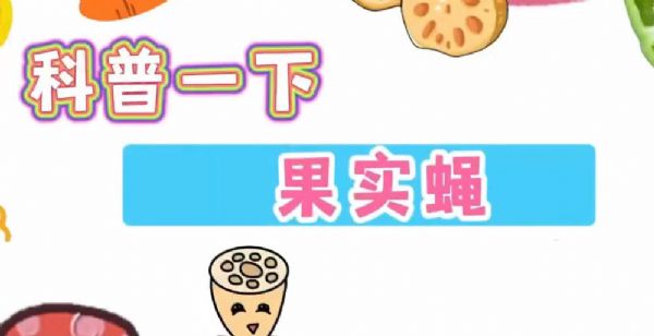仕达农业科技科普一下果实蝇